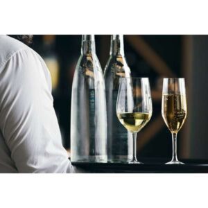 V2822_V2823_X2058_X2068_Evidence_Beauty