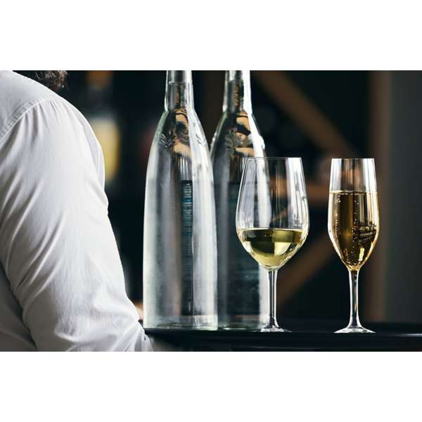 V2822_V2823_X2058_X2068_Evidence_Beauty