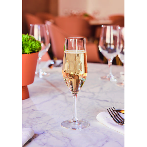 V2823_X2063_Evidence_Beauty